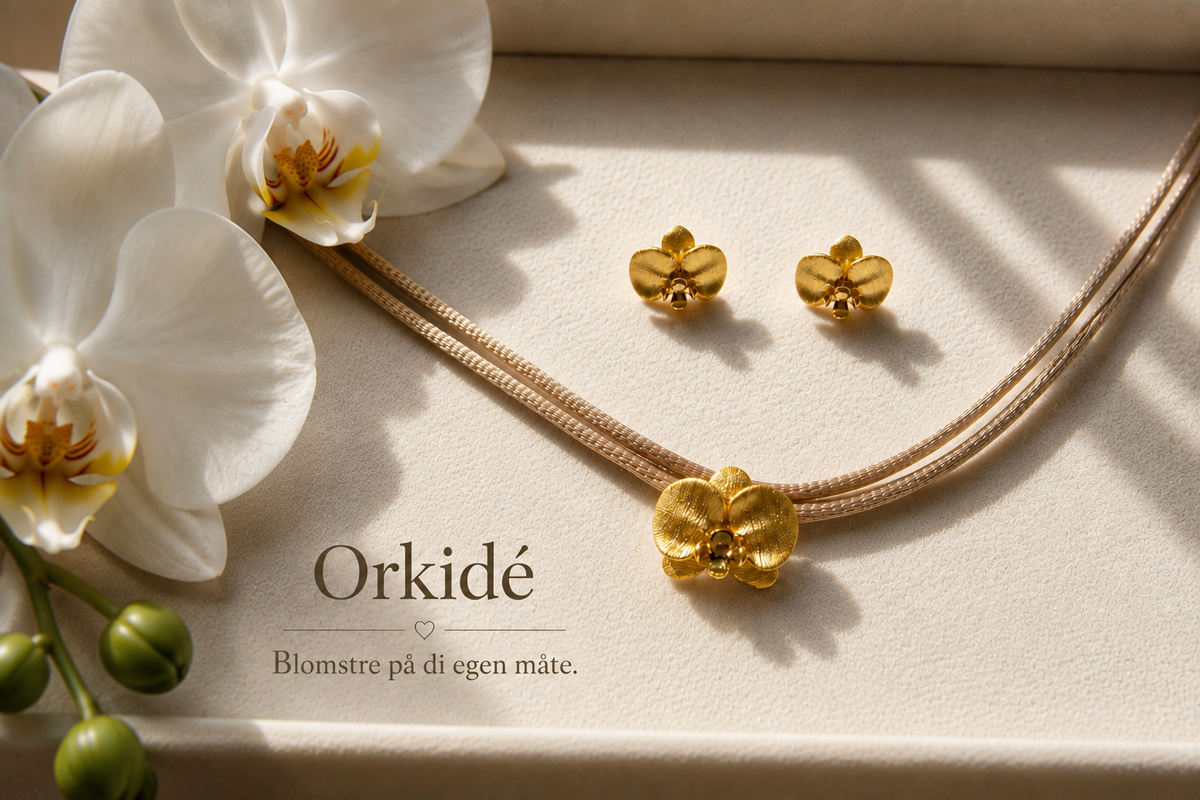 Orkidé
