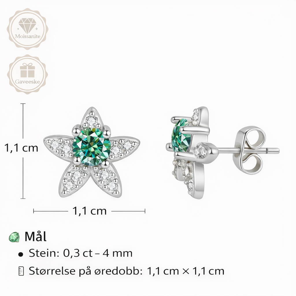 Star Moissanite Studs – Akvamarin